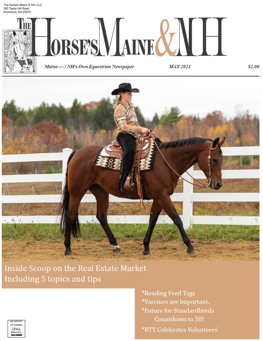 Horse's Maine & New Hampshire – Maine & New Hampshire's Own Equestrian ...